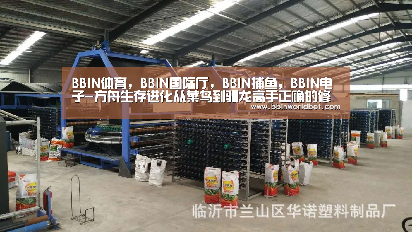 BBIN体育，BBIN国际厅，BBIN捕
