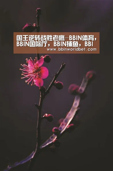 BBIN体育，BBIN国际厅，BBIN捕鱼，BBIN电子