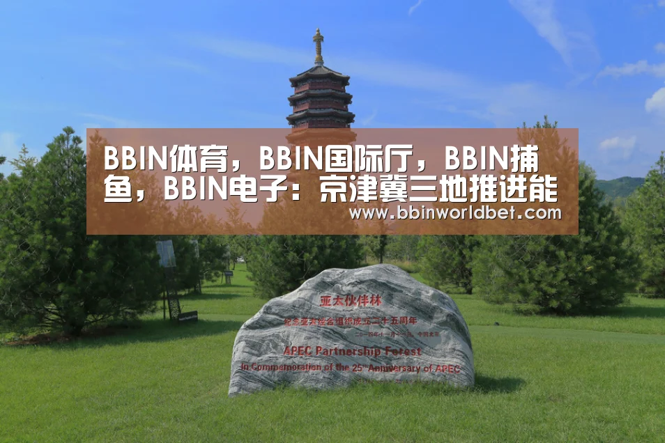 BBIN体育,BBIN国际厅,BBIN捕鱼,BBIN电子:京津冀三地推进能源协同发展(图3) BBIN体育,BBIN国际厅,BBIN捕鱼,BBIN电子